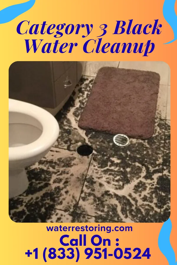 Category 3 Black Water Cleanup in New Ringgold, PA