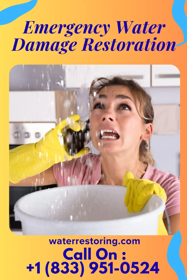 Emergency Water Damage Restoration in New Ringgold, PA