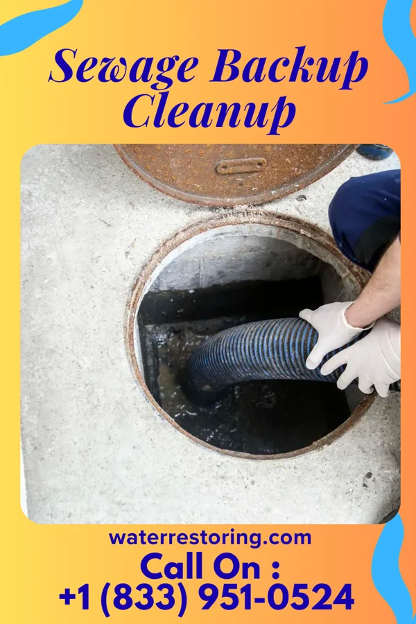 Sewage Backup Cleanup in New Ringgold, PA