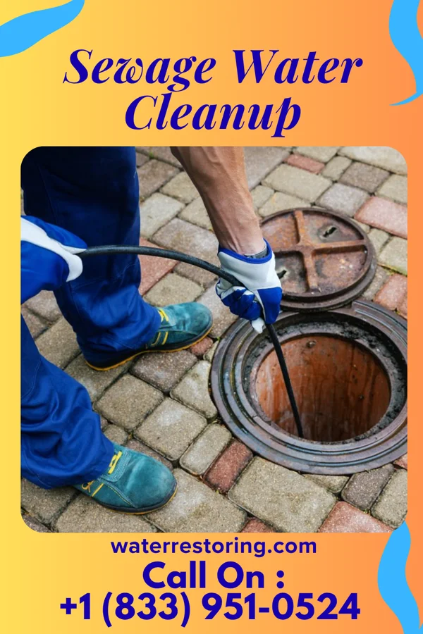 Sewage Water Cleanup in New Ringgold, PA