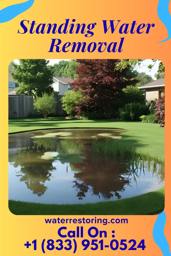 Standing Water Removal in New Ringgold, PA